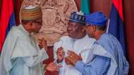 Breaking: Chaos as court opposes Buhari, resists re-amendment of Electoral Act, Senate reacts