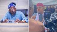 2023 presidency: How southeast youth will give Tinubu 5.1m votes, APC chieftain Obidike reveals