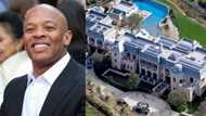 4 men nabbed in attempted burglary of music producer Dr Dre's home