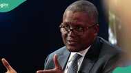 Dangote loses Africa's richest spot to South African mogul