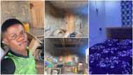 Young man renovates his 1 room, paints & tiles it, shares transformation video with cool wallpaper
