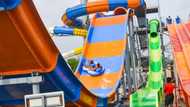 Park Vega Waterpark is the Best Tourist Site, Guests Tell Smart Delta Media Team