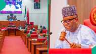 Senate receives fresh proposal for creation of 8 new states in north-west