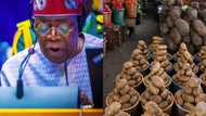 CADEF: Cartels, insecurity, others behind rising cost of food items, expert reveals