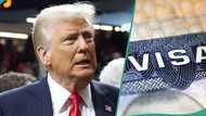 Has Donald Trump, US stopped issuing visas to Nigerians? Fact emerges