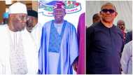 Obi/Atiku vs Bola Tinubu: Prominent prophet issues major prophecy on opposition winning in court