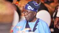 Ni ba barawo bane: Tinubu ya fadi sana'ar da yake ya tara makudan biliyoyi