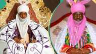 Kano royal rumble: ‘Sanusi not Emir’, prominent public affairs analyst speaks out