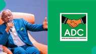 Tinubu's chief of staff Gbajamiamila breaks silence over creation of ADC coalition to defeat APC