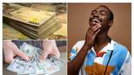 Naira continues to climb, exchanges for N860 per dollar amid forex liquidity