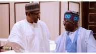 Tinubu congratulates Buhari on tribunal victory, sends message to Atiku, PDP