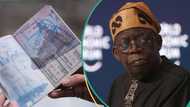 Nigeria launches first visa application agency, Asfaar, to tackle fake documents, ease travel