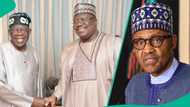 Did Buhari endorse Ahmad Lawan for APC’s 2023 presidential ticket? New book shares insider details