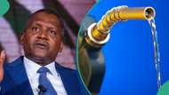 Dangote refinery set to launch petrol sales, report gives new date