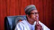Kashe-Kashen Arewa: Muna Fushi Da Buhari Da Gwamnonin Arewa, Kungiyar Tuntuba Ta Arewa, ACF