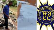 "It will change": Nigerian boy prints out unusual WAEC result, displays grades in Maths, English
