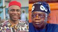 Post-APC primary: Amaechi, Tinubu’s camp at war over alleged voter inducement