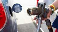 Cheaper fuels coming as FG plans 9,000 filling stations for Autogas co-location