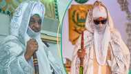 Rikicin sarauta: "Babu ruɗani a Kano, Sanusi II ne halastaccen sarki," inji NNPP