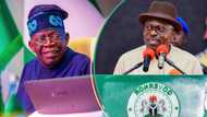 Democracy Day: Tinubu, Fubara praised as true nationalists, patriots