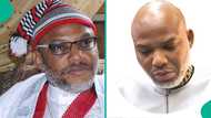 Northern youths kick against planned protest for IPOB leader, Nnamdi Kanu’s release