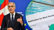 Canada explains 2 conditions foreign workers must meet to study without a permit