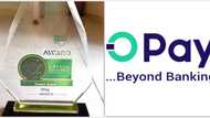 OPay emerges winner in fintech category of NITDA’s digital Nigeria 2023 awards