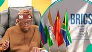 Jerin muhimman abubuwa da Najeriya za ta mora bayan shiga kungiyar BRICS