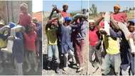 Labourers celebrate with coleague who passed his examinations, carry him shoulder high to dance in viral video