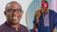 Tinubu’s govt planning to arrest Peter Obi over planned hardship protests, Media office raises alarm