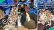 Nigerian students organise funny festival, soak huge bowl of garri with granola, groundnuts in video