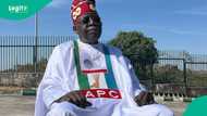 Breaking: Tinubu mentions why APC suspended national convention