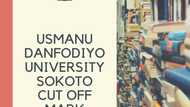 Usmanu Danfodiyo University Sokoto cut off mark 2020