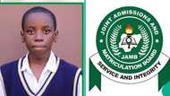 2025 UTME: Catholic School Shows Result of 33 Students With Over 300 in JAMB, Highest Score Trends