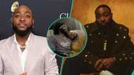 Pics of Davido dozing off with crew member on flight trends, fans react: "Rich kid with clean heart"