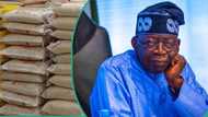 Confusion over Tinubu’s N57.8 billion rice palliative for National Assembly members