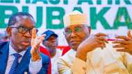 Atiku: Sai na mai da jami'o'in tarayya karkashin gwamnatin jiha idan na gaji Buhari a 2023