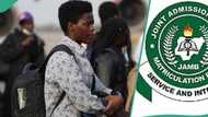 "No admission": JAMB candidate in shambles after getting 33 in chemistry, 149 aggregate UTME score