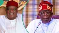 Tinubu dragged to court over appointment of 5 ministers from South-East