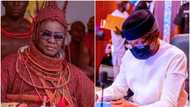 2023: Your opponents are already shivering, Oba Of Benin tells Osinbajo