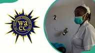 WAEC subjects for nursing — what's compulsory, what's optional, and which nursing path leads where
