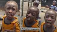 "Original Port harcourt breed": Little girl uses slangs to beg man for money on the road, video surprises many