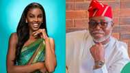 Ondo Decides 2024: Chidimma Adetshina trends as Miss Universe ‘overtakes’ election on X