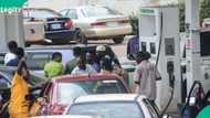 Dangote: List of filling stations selling petrol below N865 per litre in Nigeria emerges