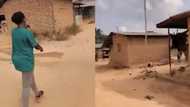 Video captures teachers going from house to house to beg village students to come back to school, causes stir