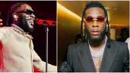 “N400 million well spent”: Friends gather like small kids to admire Burna Boy's new diamond necklace in video