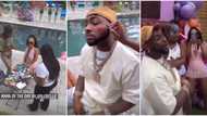 Video captures beautiful moments Davido and 2nd baby mama Amanda shared at Hailey's 5th birthday party
