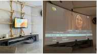 Man impresses social media with his interior decoration skills, his 'projector' screen gets many talking