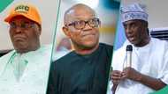 2027 election: Atiku told not to step aside for southern candidate, reason emerges