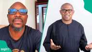 'Gwamnonin APC 5 za su juya wa Tinubu baya a zaben 2027,' Fayose